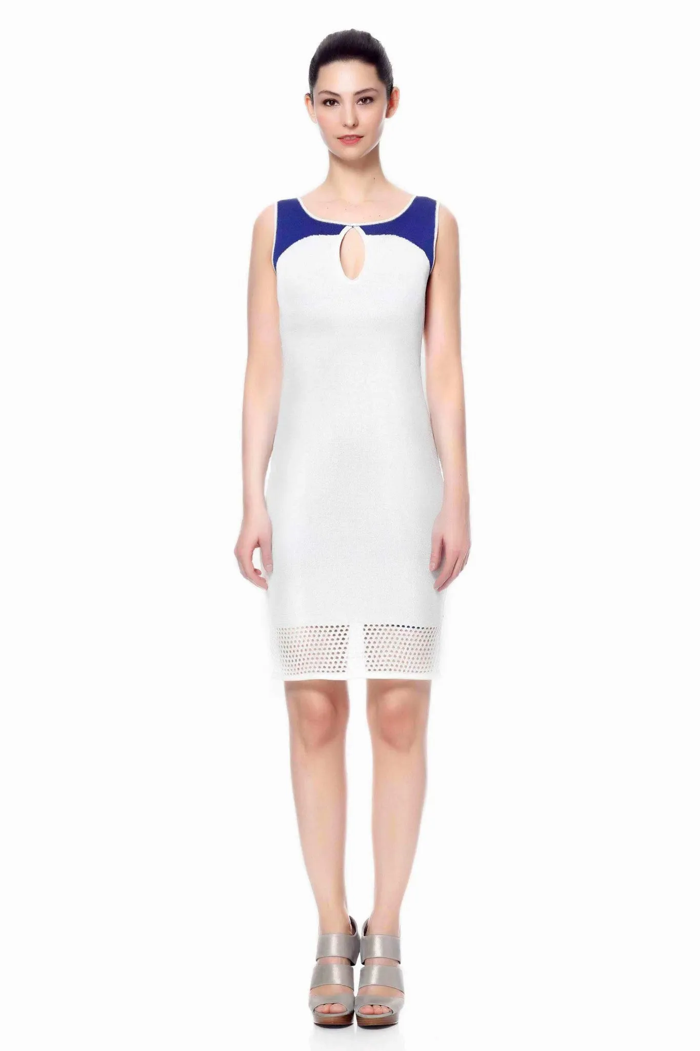 Careen Elegant Reversible Sheath Dress