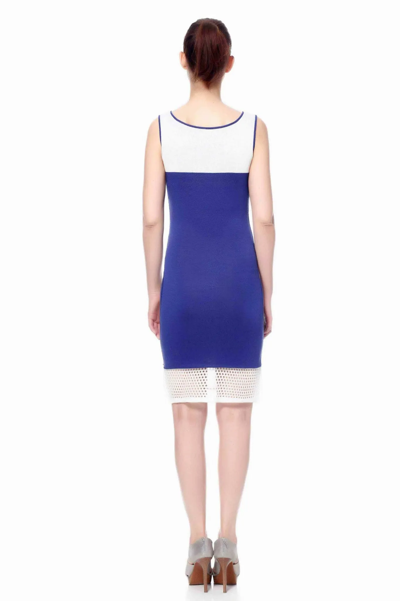 Careen Elegant Reversible Sheath Dress