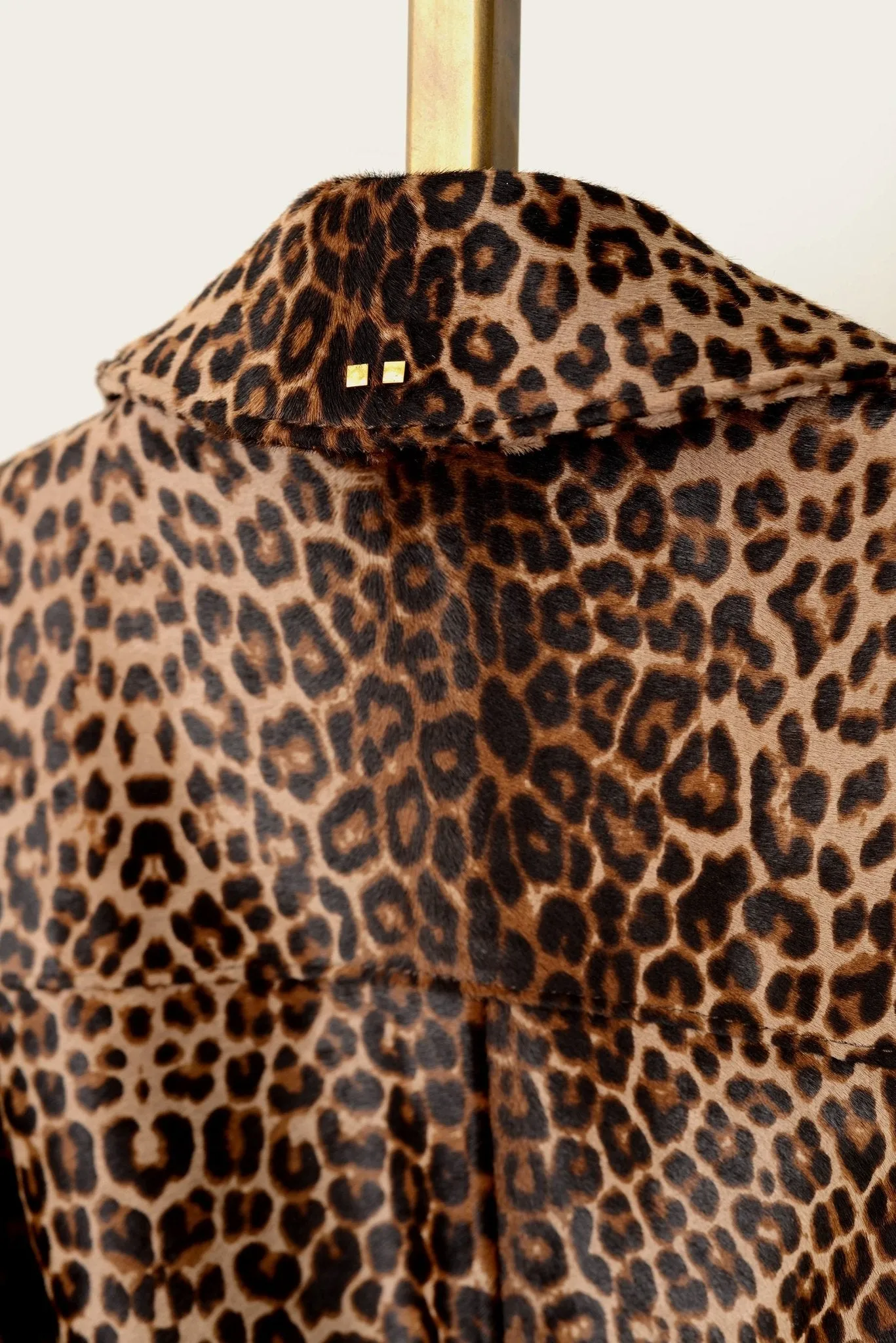 The Shelby: Cheetah